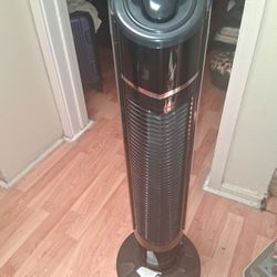 Fan with Remote........Works Excellent 