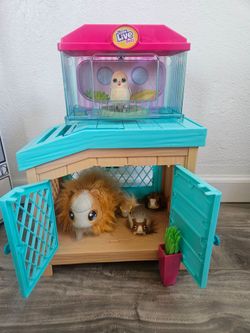 Little live pets