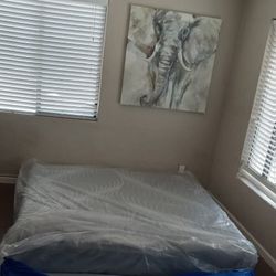 New ** Mattress King 