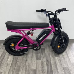 Electric Bike : Meelod T16