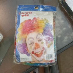 Clown Wig
