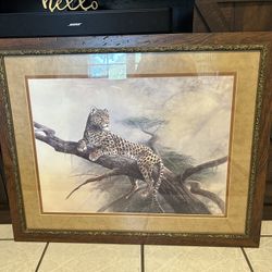 Wall Tiger Frame $40