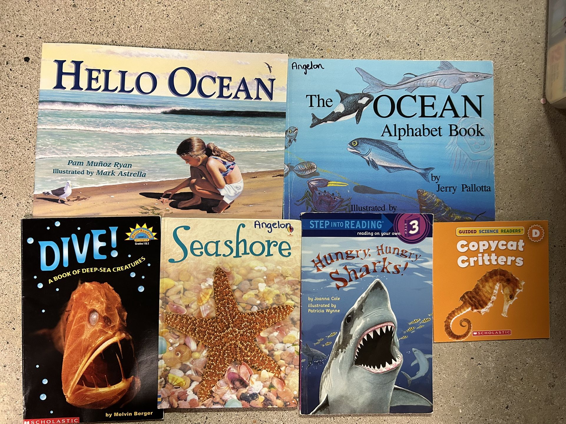 Ocean themed children's books lot of 6