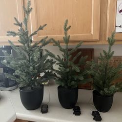 3 Small Artificial Decor Trees Pre-Lit