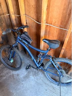 Adult Mountain Bike
