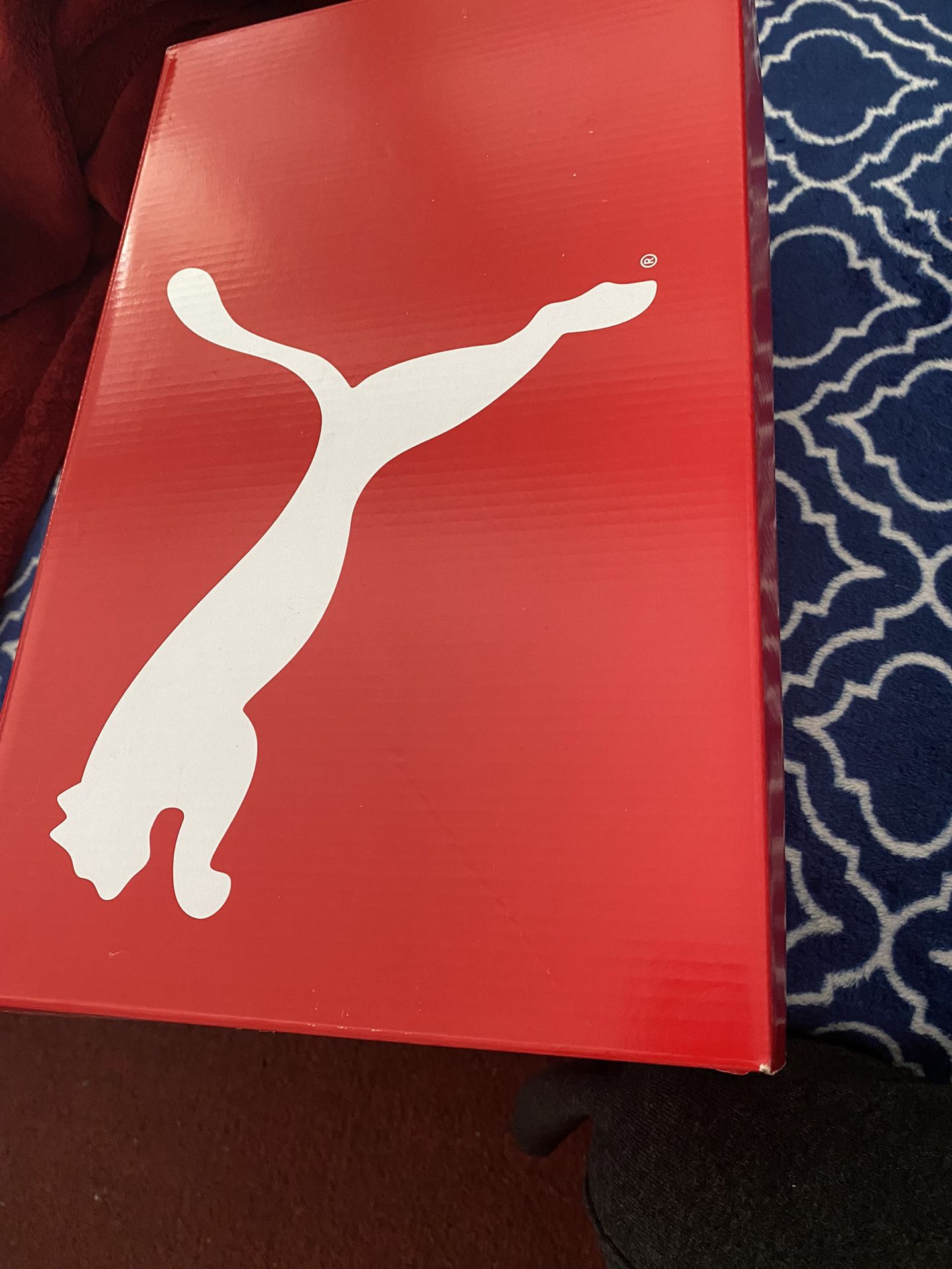 Puma Shoes Size 12