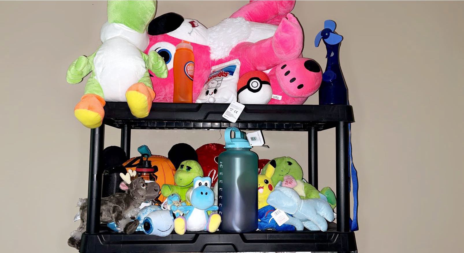 Stuffed Animals/ Brand New Water Bottles/ Bluetooth Speaker