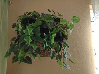 WALL HANGING PLANT (LARGE)