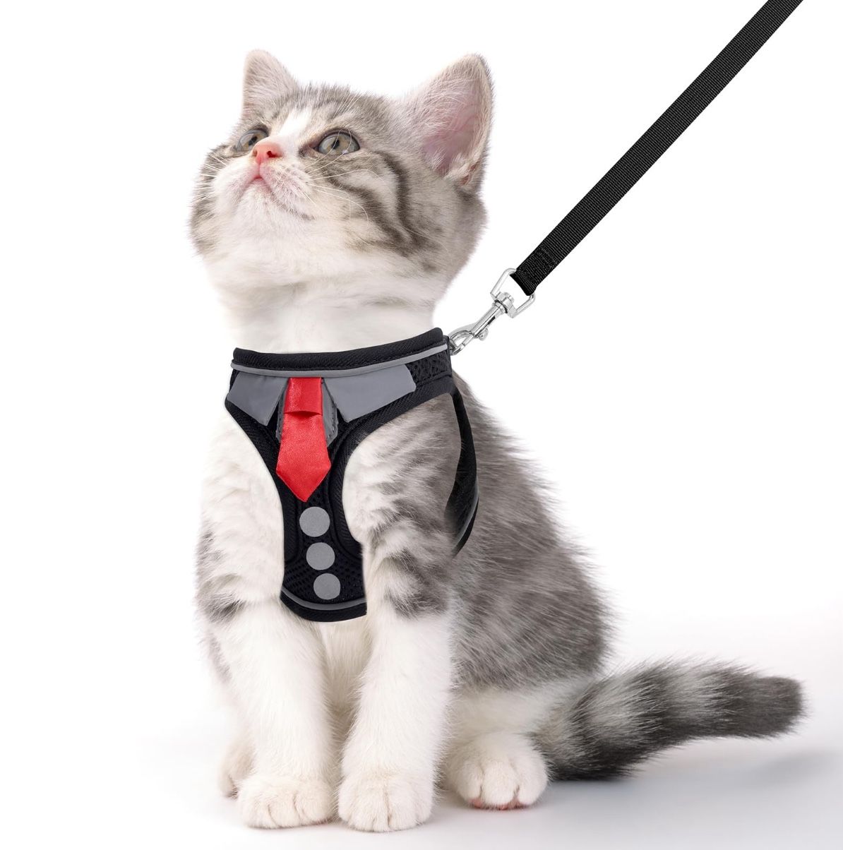 Harness And Leash XS