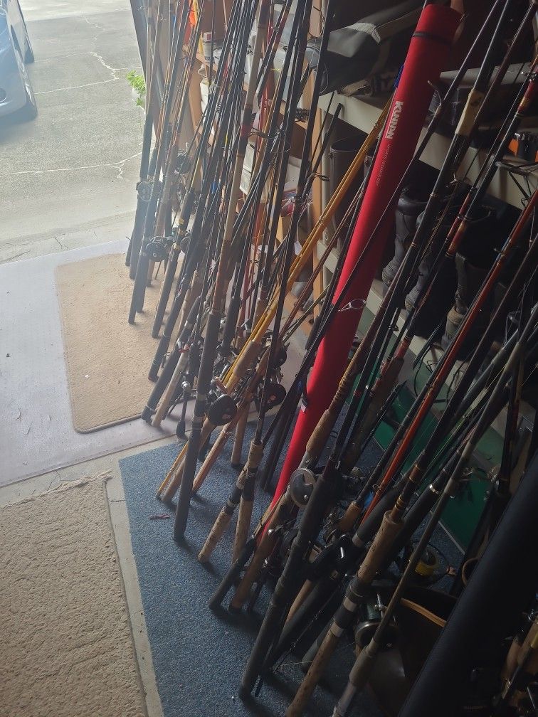 All Kinds Of Salmon Rofs And Reels