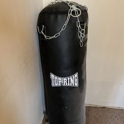 heel veel Beenmerg jeugd Top Ring All Leather Punching Bags Mounting Chain 50 lbs for Sale in Los  Angeles, CA - OfferUp