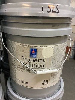 Interior Paint (Pure White)