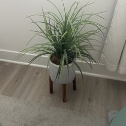 Fake Plant Vase - $20