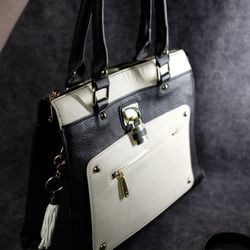 Charming Charleys Purse