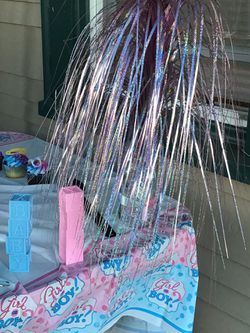 Gender reveal party package