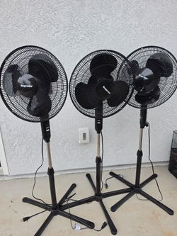 Stand up fan 3 for $50