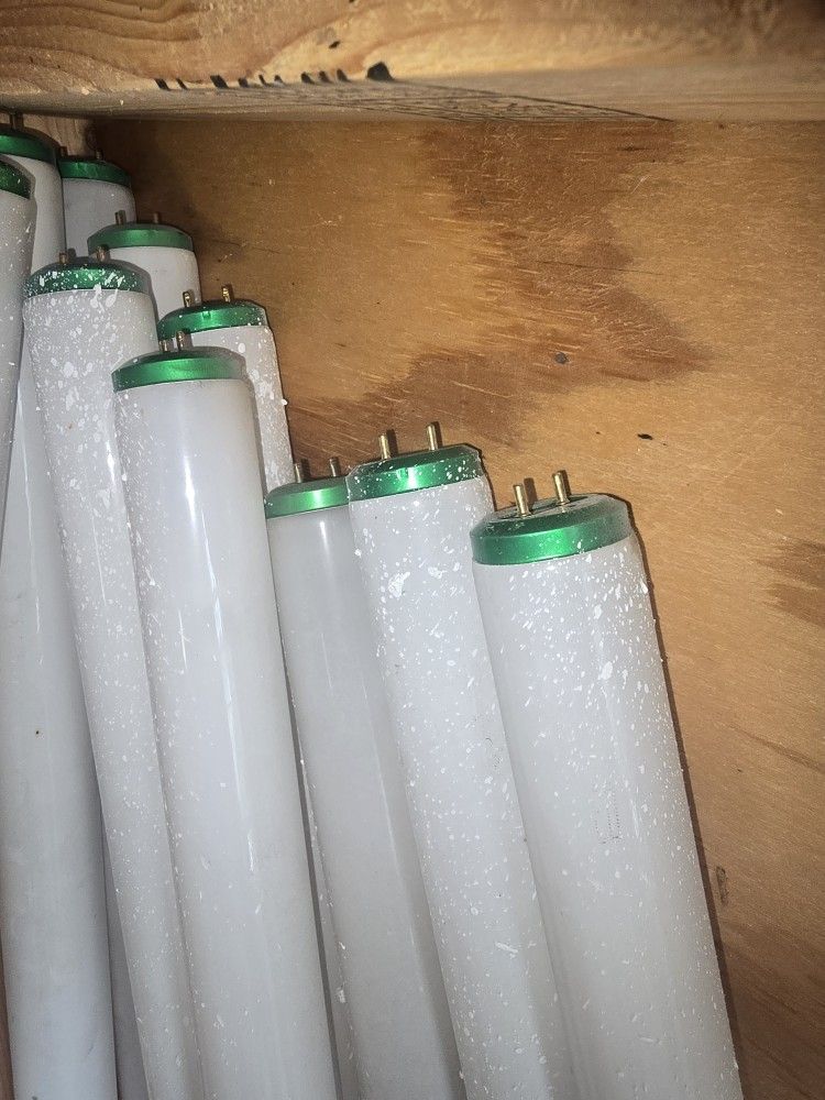 Philips Light Bulbs & Lighting