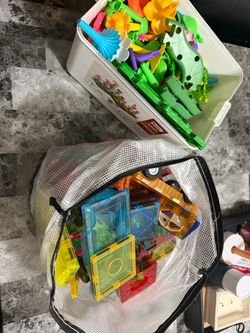 Magnetic tiles & flower building blocks