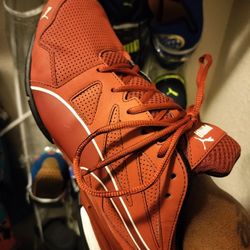 Very Comfortable Nice Puma Shoes Size 12