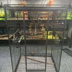 BIRD CAGE
