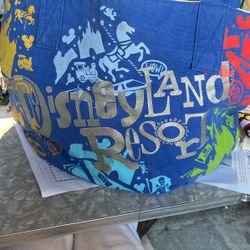 Disneyland Bag