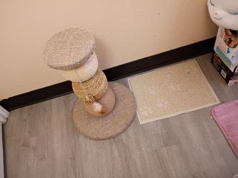 Cat scratcher