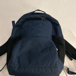 Pac Safe Back Pack - Model Metro Safe LS 450