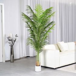 Palm Tree 6.6ft (NEW)