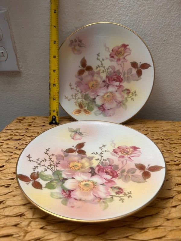 PAREJA DE PLATOS DE PORCELANA FILETEADA