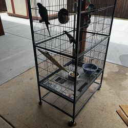 Large Cage with Wheels And Quaker Parrot