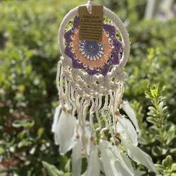 Dream Catcher 