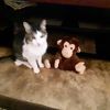Coco Channel 