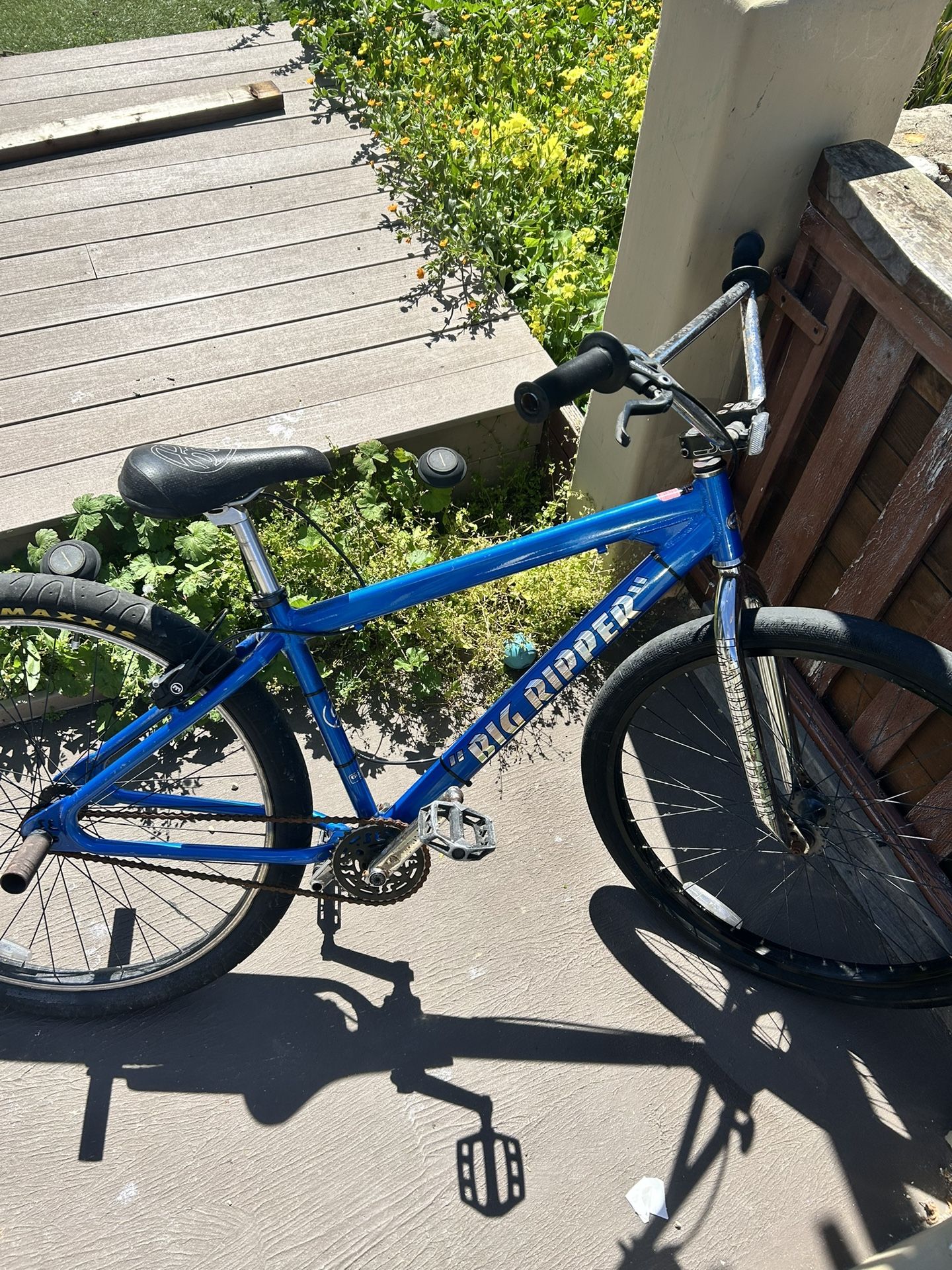Blue SE Big Ripper 29In