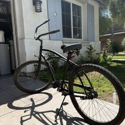Beach Cruiser 
