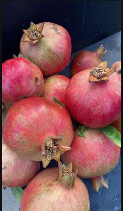 Pomegranate, Granadas $1