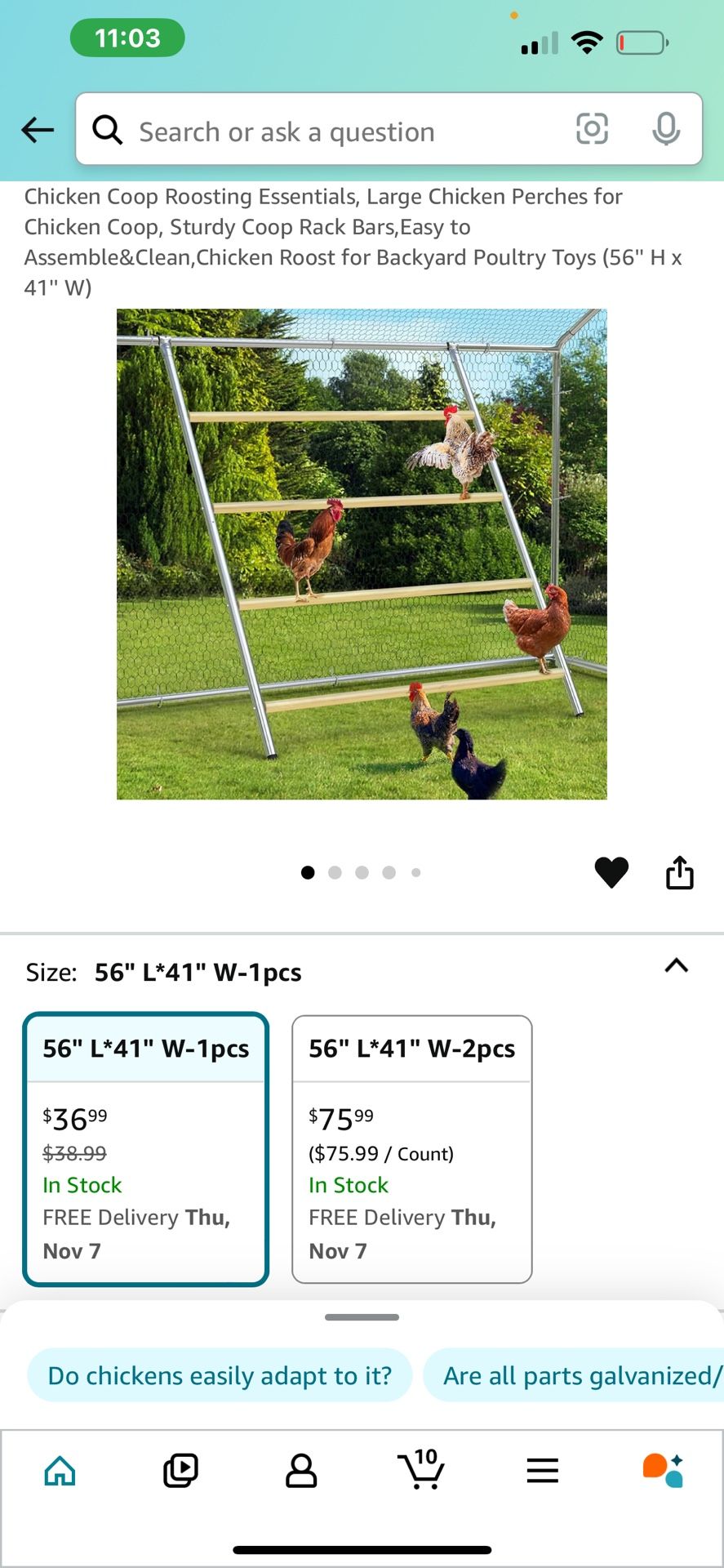 Square Chicken Roosting Perch, Perfect for Backyard Poultry, Chicken Perch for Coop, Easy to Assemble&Clean, Farm Chicken Toys (55" L x 40" W)