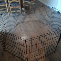 Pet,Pets,Dog,Dogs, Animals,Animal,Cage,Cages