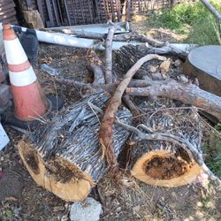 Free Firewood Available 