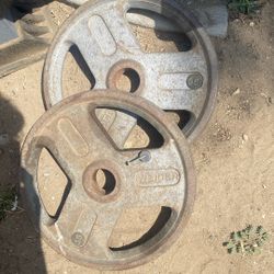 weights 