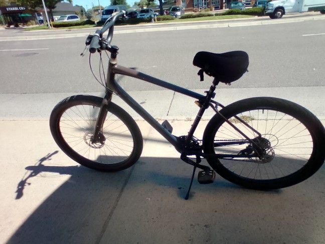 29 Inch Specialized Custom