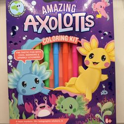 New Coloring Books With Stickers And Some Markers 