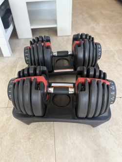 Adjustable Dumbbells – Albatross 52.5lb Pair w/ Trays 