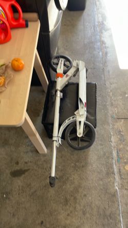 Push Scooter.