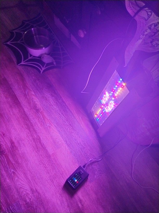 Indoor Grow Light And Accessories