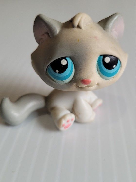 Littlest Pet Shop Lps # 53 Grey White Kitten Cat Blue Eyes Red Magnet Hasbro.