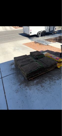 FREE FIRST COME FIRST SERVED - NEED GONE ASAP
