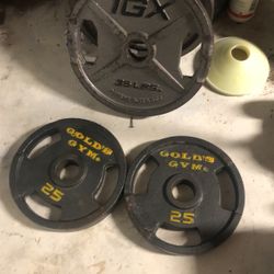 Weights 