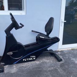 True Fitness Bike
