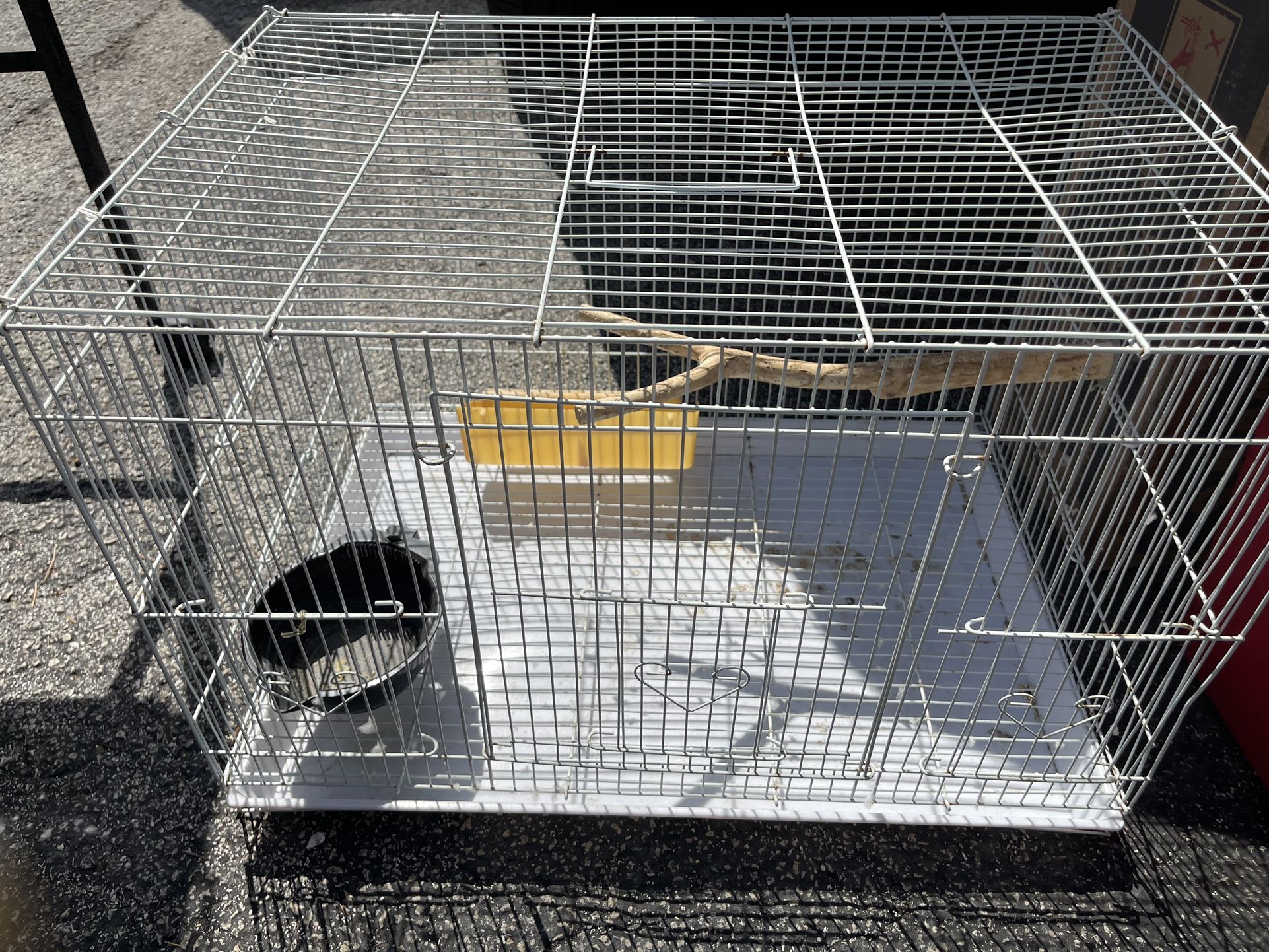 Bird Cage