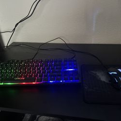 Keyboard and mouse RGB
